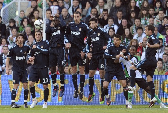 致敬，都柏林动物园将一只极度濒危的鹦鹉取名特洛伊-帕罗特